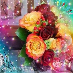 Meet your Posher, Kensie